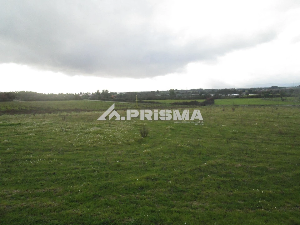 Terreno para Venda em Lardosa Foto 3