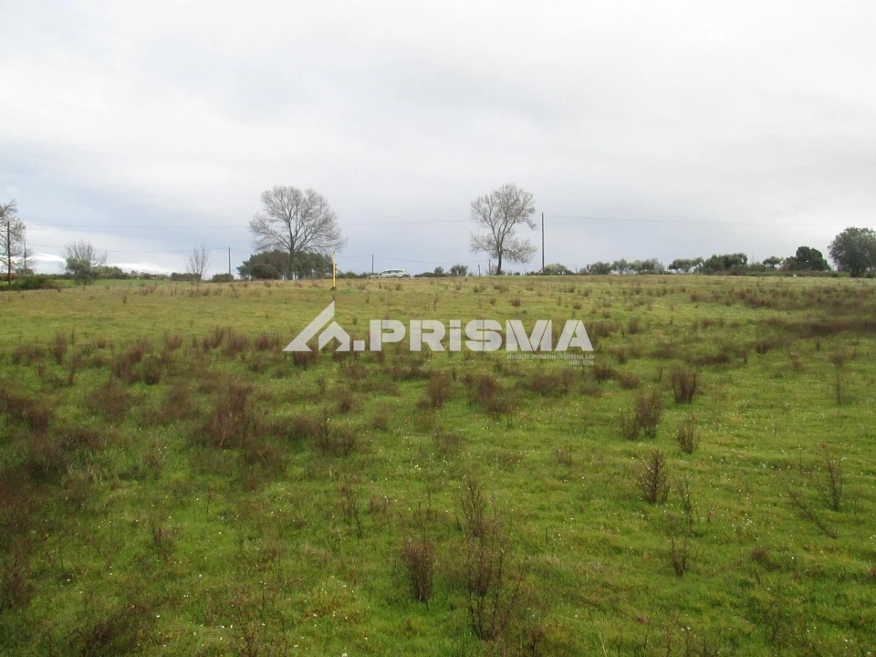 Terreno para Venda em Lardosa Foto 10