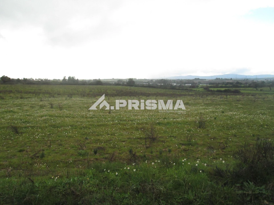 Terreno para Venda em Lardosa Foto 37