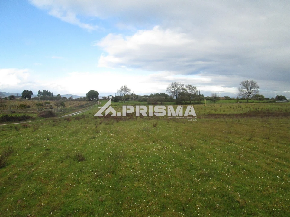 Terreno para Venda em Lardosa Foto 16