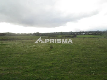 Terreno para Venda em Lardosa