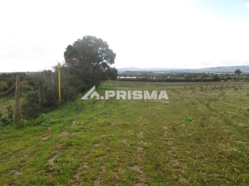 Terreno para Venda em Lardosa