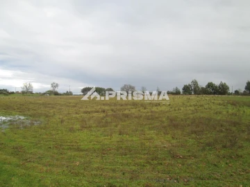 Terreno para Venda em Lardosa
