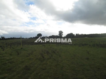 Terreno para Venda em Lardosa