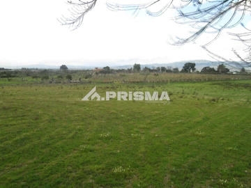 Terreno para Venda em Lardosa