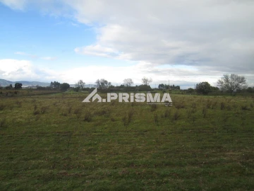 Terreno para Venda em Lardosa