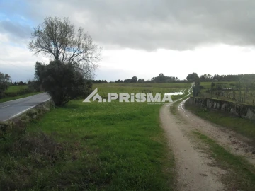 Terreno para Venda em Lardosa