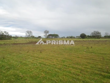 Terreno para Venda em Lardosa