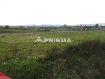 Terreno para Venda em Lardosa