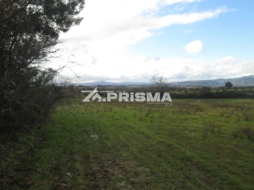 Terreno para Venda em Lardosa