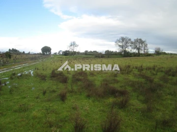 Terreno para Venda em Lardosa