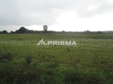 Terreno para Venda em Lardosa
