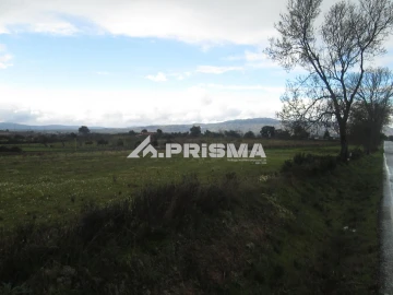Terreno para Venda em Lardosa