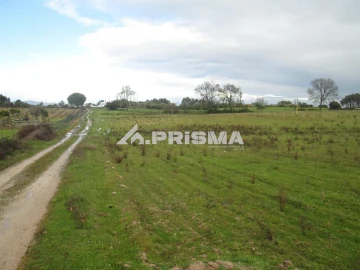 Terreno para Venda em Lardosa