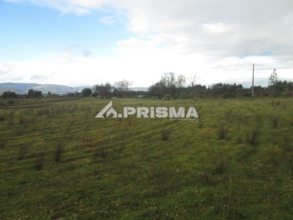Terreno para Venda em Lardosa Foto 28