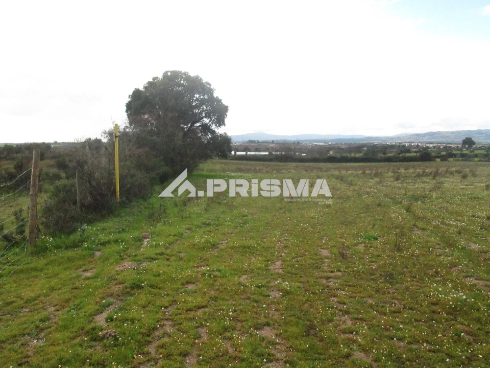 Terreno para Venda em Lardosa Foto 26