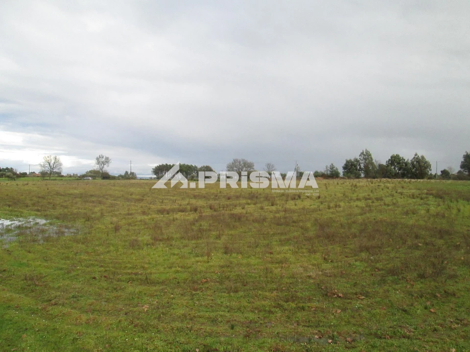 Terreno para Venda em Lardosa Foto 17
