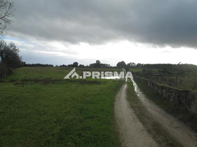 Terreno para Venda em Lardosa Foto 2