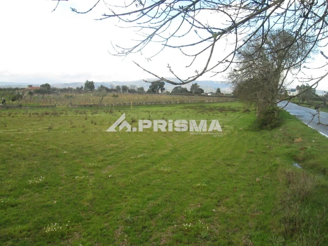 Terreno para Venda em Lardosa Foto 5