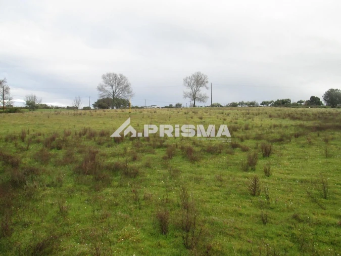 Terreno para Venda em Lardosa Foto 10