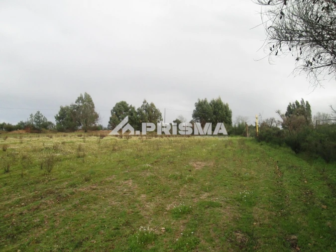 Terreno para Venda em Lardosa Foto 24