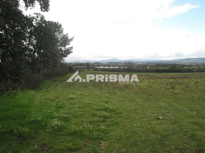 Terreno para Venda em Lardosa Foto 25