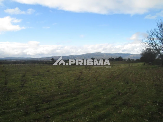 Terreno para Venda em Lardosa Foto 29