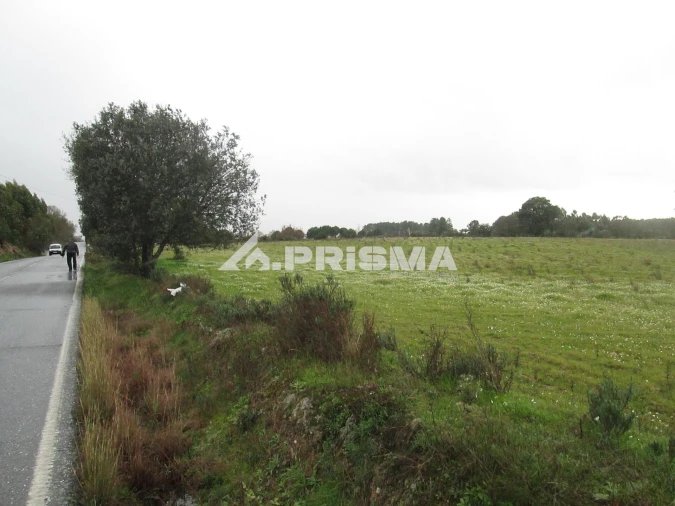 Terreno para Venda em Lardosa Foto 34