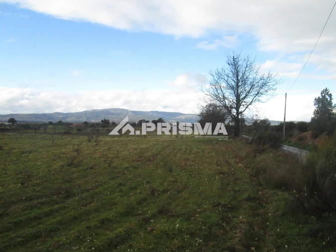 Terreno para Venda em Lardosa Foto 30