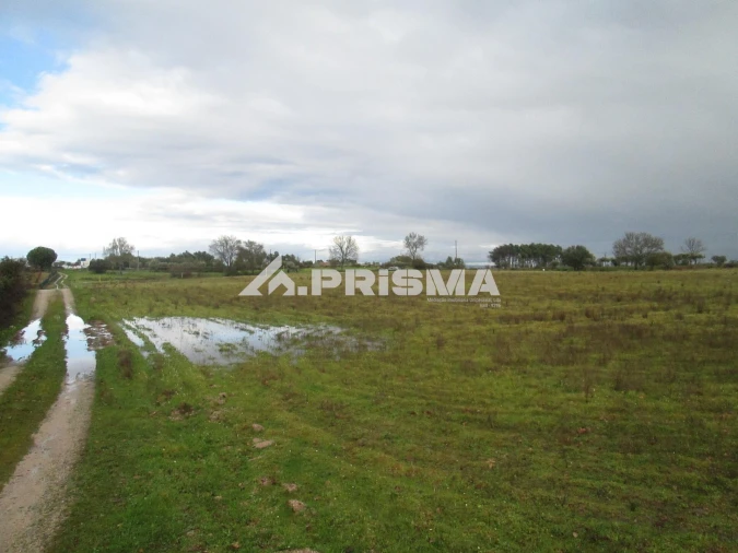 Terreno para Venda em Lardosa Foto 18
