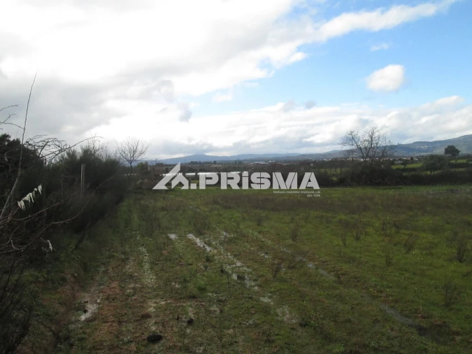 Terreno para Venda em Lardosa Foto 21