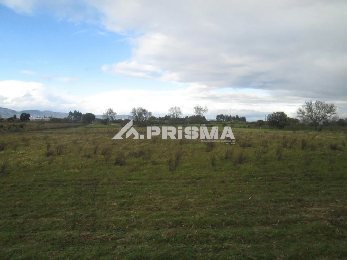Terreno para Venda em Lardosa Foto 23