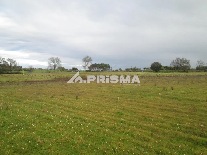 Terreno para Venda em Lardosa Foto 15