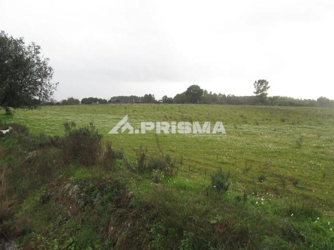 Terreno para Venda em Lardosa Foto 33