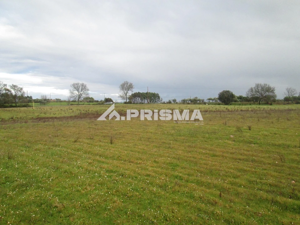 Terreno para Venda em Lardosa Foto 15