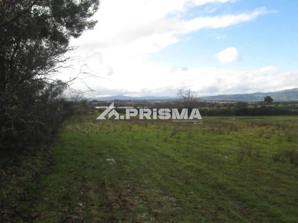 Terreno para Venda em Lardosa Foto 22