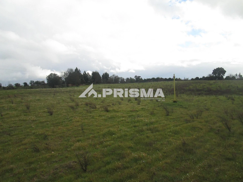 Terreno para Venda em Lardosa Foto 7