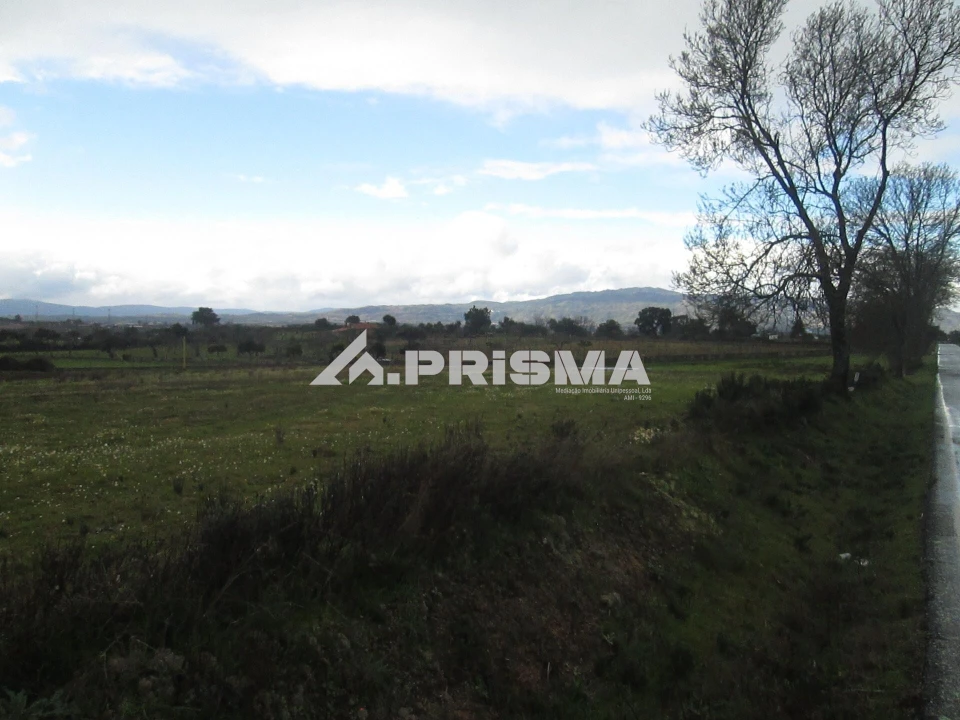 Terreno para Venda em Lardosa Foto 35