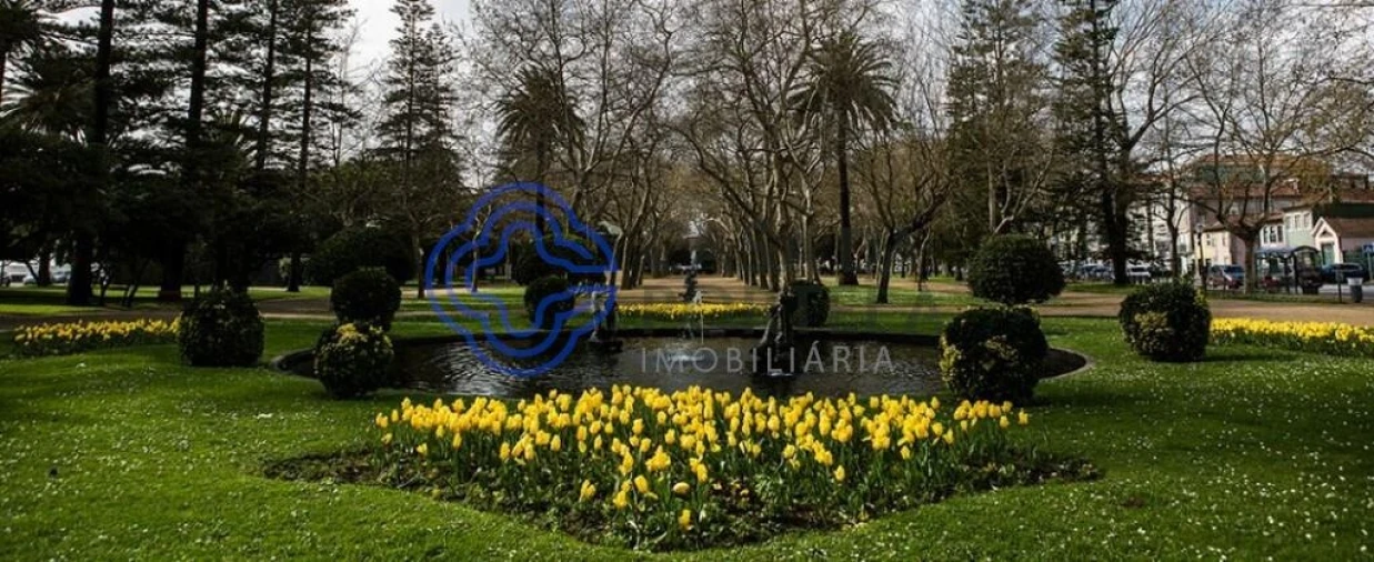 Moradia T3 para Venda em Aldoar, Foz do Douro e Nevogilde Foto 4