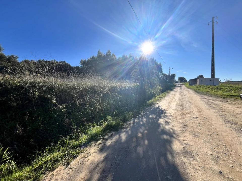 Terreno Agricola ou Rústico para Venda em Bombarral e Vale Covo Foto 1