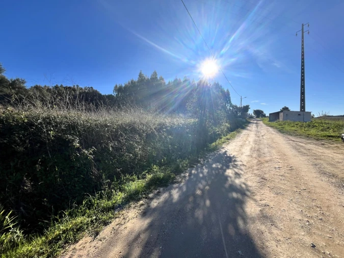 Terreno Agricola ou Rústico para Venda em Bombarral e Vale Covo Foto 1