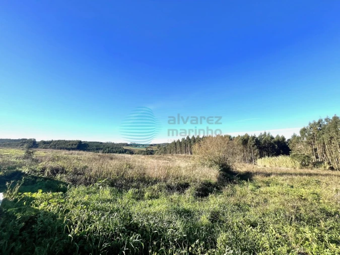 Terreno Agricola ou Rústico para Venda em Bombarral e Vale Covo Foto 2