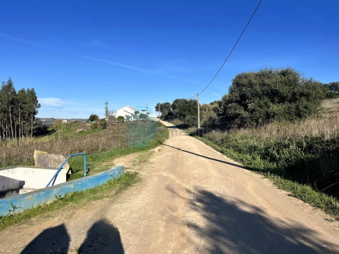 Terreno Agricola ou Rústico para Venda em Bombarral e Vale Covo Foto 7