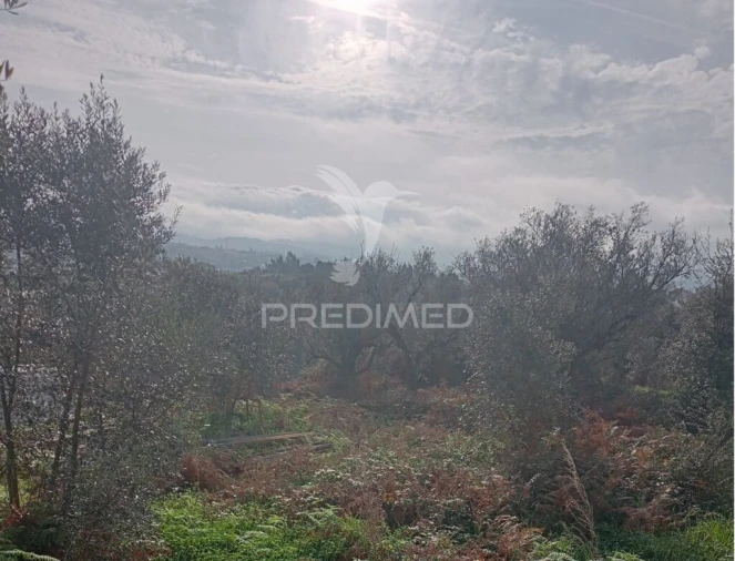 Terreno para Venda em Batalha Foto 3