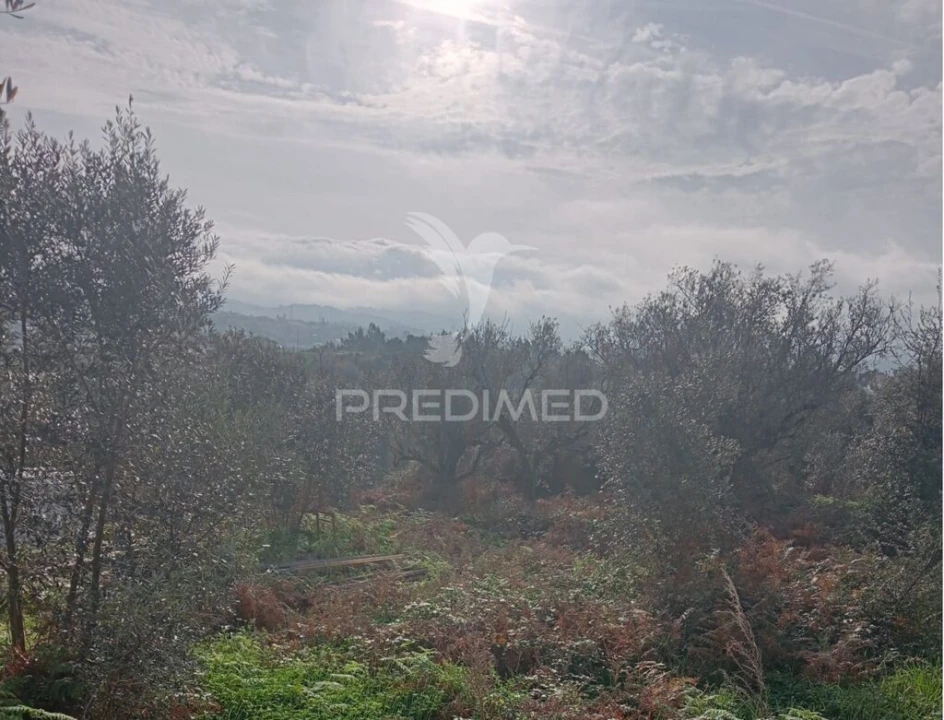 Terreno para Venda em Batalha Foto 3