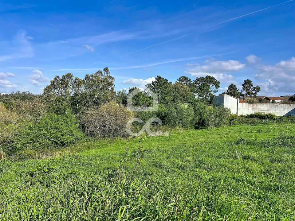 Terreno para Venda em Santa Catarina Foto 6