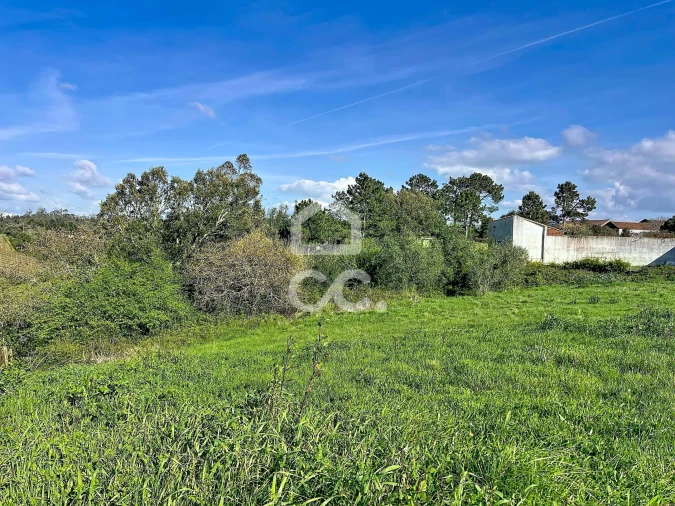 Terreno para Venda em Santa Catarina Foto 6