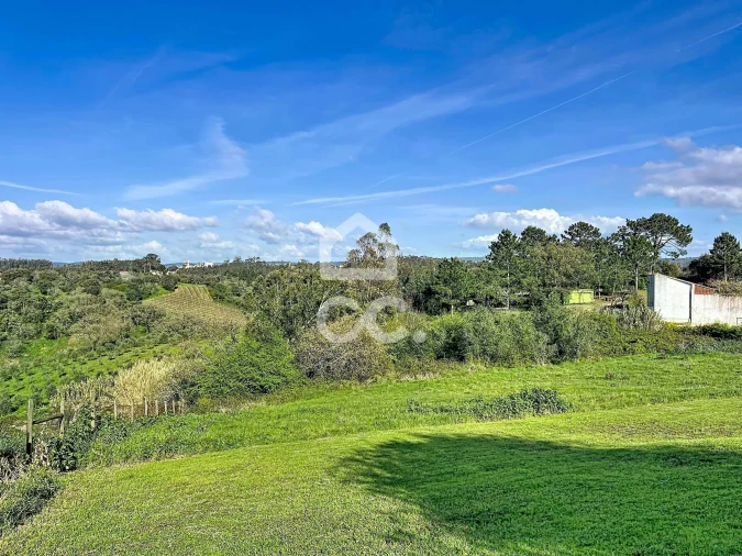 Terreno para Venda em Santa Catarina Foto 4
