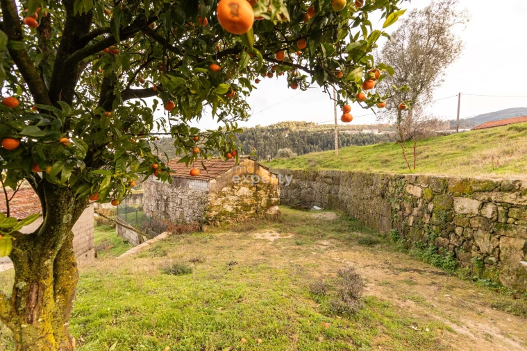 Terreno para Venda em Tarouquela Foto 12