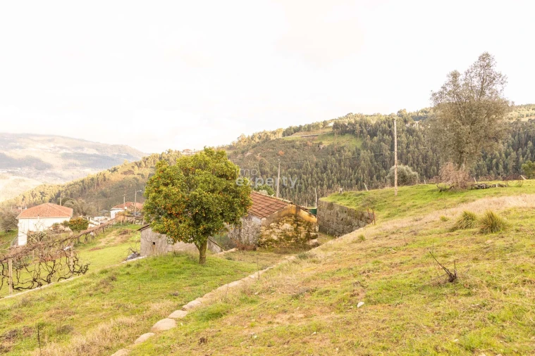 Terreno para Venda em Tarouquela Foto 5